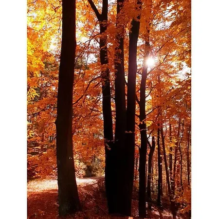 Ferieheisel - Everything, Except Usually! * Бад-Бергцаберн