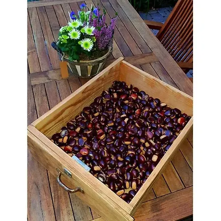 Ferieheisel - Everything, Except Usually! Апартаменты