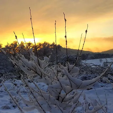 Апартаменты Ferieheisel - Everything, Except Usually!