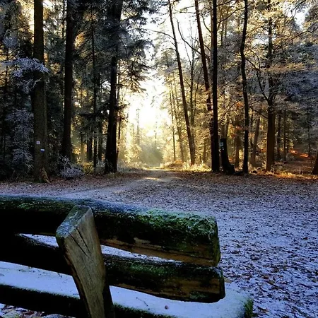 Ferieheisel - Everything, Except Usually! *