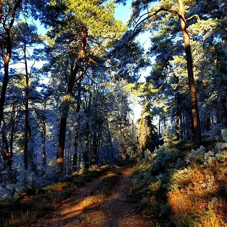 Ferieheisel - Everything, Except Usually! Бад-Бергцаберн